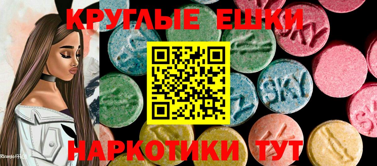 ЭКСТАЗИ Philipp Plein Котлас
